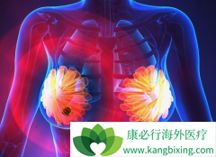 PD-L1���尢���鵥��������ɼ����������ת�����������ٰ����о�����