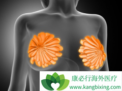 �����쵥��ע��Һ(Tecentriq)��ʹ�����������ٰ����߶��10����