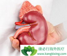 ���ڸ�Σ���������������������Ч�������䵥����