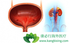 �������ư��װ�������ҩ������pembrolizumab��