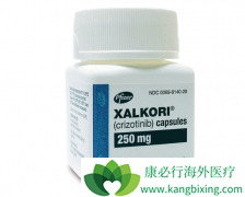 ���˿��������⻹����Щ��������ALKͻ���ALK���Ƽ���