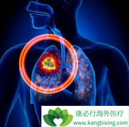 �������鵥��(Keytruda)�Բ�ͬ���ͷΰ����ߵ�OS���ڲ�����