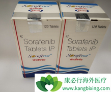 �����������׸��������Ƹ�ϸ�����İ���ҩ��