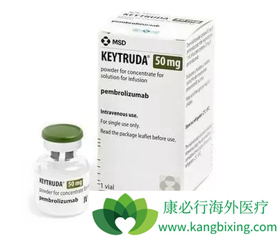派姆单抗 派姆单抗