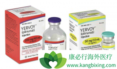 Ŀǰ���������߼����Ʒ�����CTLA-4������PD-1�����Ʒ�