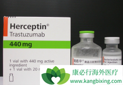 �����鵥����������HER2�������ٰ�������Ч���͸�������