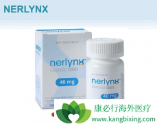 ����������HER2�������ٰ����߸������������кܺõĽ�չ