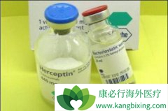 Ƥ��ע�������鵥��/����͡�������ٰ��İ�ȫ�Ժ�������