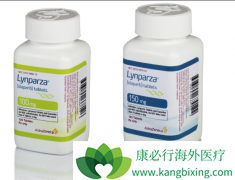 �������ᣨOlaparib����������PARP���Ƽ��ǽ��������ŵİ�֢�е�