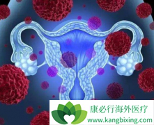 PARP���Ƽ����������ͨ���ϳ��������ö�������ҩ����������