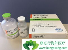 ����ʹ�������鵥��(trastuzumab)������ѷ�������
