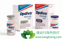 �������ȵ����ڽ��ܹ�TKI���Ƶķ�Сϸ���ΰ������е���Ч