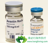 ��ά͡����PD1ҩ���ʹ����PD-L1����״̬�ķ��۰��ΰ����߻���