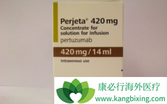 �����鵥���ӻ������������鵥����ʹHER2����θ�����߻�����