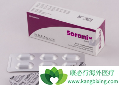 ��������(Soranix)��ҩ�ڼ������Щҩ������໥���ã�