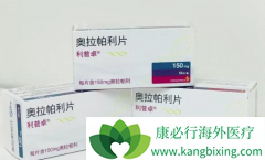 PARP���Ƽ����������ĳ���Ϊ�ѳ������ƴ����������