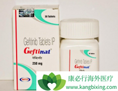 EGFR-TKI���ڷ�Сϸ���ΰ����ߵĸ�������Ч��