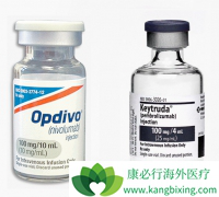 Keytruda��Opdivo��PD-1���Ƽ�����������Ч���Ƿ�ȵ�ҩ�ã�