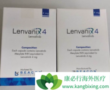 �����ظ�������Ļ�������������ַ�����/�ط�����