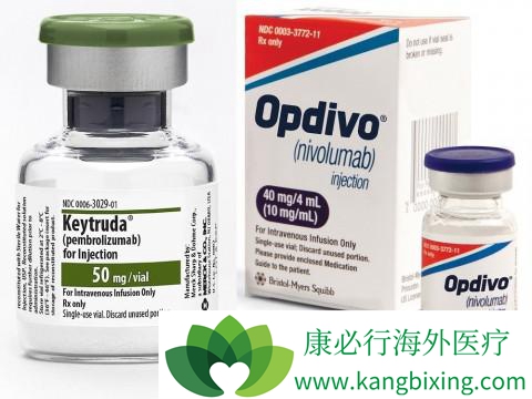 纳武单抗 纳武单抗