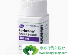 ������ALK-TKI�������ᣨLorlatinib�����л�������ALK���Էΰ�����