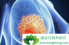 ���ٰ��ڷ������Ʋ������������е����ٰ�����