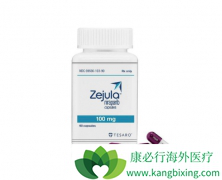 �ѳ���ȫ�°���ҩ������������Niraparib����¼���