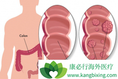 BRAF���Ƽ�������������������BRAF V600Eͻ���ͽ�ֱ��������Ч