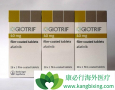 �ڼ�������/����ɳ����1���º�ɽ��г�����Ч����