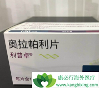 PARP���Ƽ������������ѳ������Ƶ���ƪ��