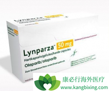 ���ð�������(Olaparib)�Ļ��߿��ܳ��������ԵĹ�������