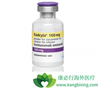 T-DM1��Kadcyla����ĿǰHER2����ͻ��ķΰ�����������ѡ����ҩ