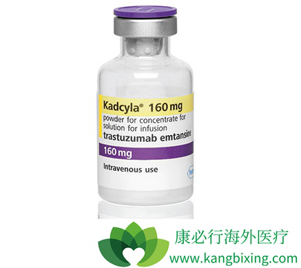 T-DM1
