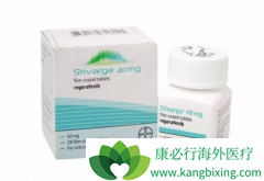 ��������Ƥ����Ӧ�Ļ��߸��ܴ�������(STIVARGA)�����л���