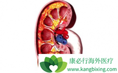 �и�Σ��������һ�����ƿ��ԳԿ�������