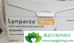 Ϊ��BRCA1����ȱ�ݵĻ��߸��ܴӰ�������(BRCA1)�л��棿