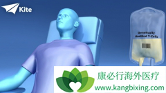 CAR-T�Ʒ�����Ҫ��������ϸ�������ͷ��ۺ���