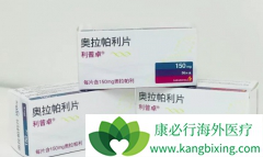 �����������׸����ҹ����������ѳ�����PARP���Ƽ�