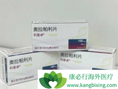 �����ѳ����ļ���PARP���Ƽ��İ�ȫ����ô����