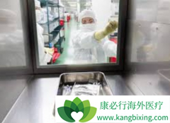 CAR-Tϸ���������й�Ŀǰ��չ����ô����