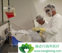 Ŀǰ�й���CAR-Tϸ���Ʒ��ٴ����������Ѿ���������