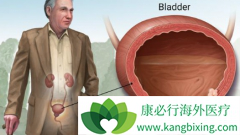 ���װ�����������ǰ���л��ƿ��Ը�����������