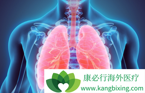 劳拉替尼 劳拉替尼