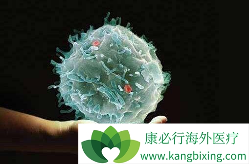 地中海贫血 地中海贫血