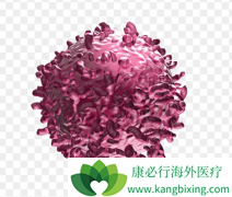 CAR-Tϸ�������Ʒ����ŵ��ȱ��