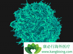 ��PD-1/PD-L1Ϊ���������߼������Ƽ�����ȱ������Щ