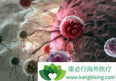 �����Ķ�������������CAR-T����ͬʱ���ά����Ч��