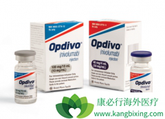 ���䵥��(Nivolumab)��ʹ���ֺ�ɫ��������3�������ʴ�51.2%