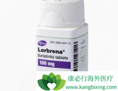 ��һ��ALK���Ƽ������������Ʒ�Сϸ���ΰ����ߵ�Ч��