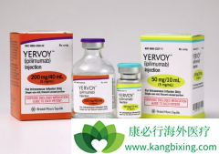 Yervoy��ipilimumab���������ƺ�ɫ�������������߼������Ƽ�ʱ��